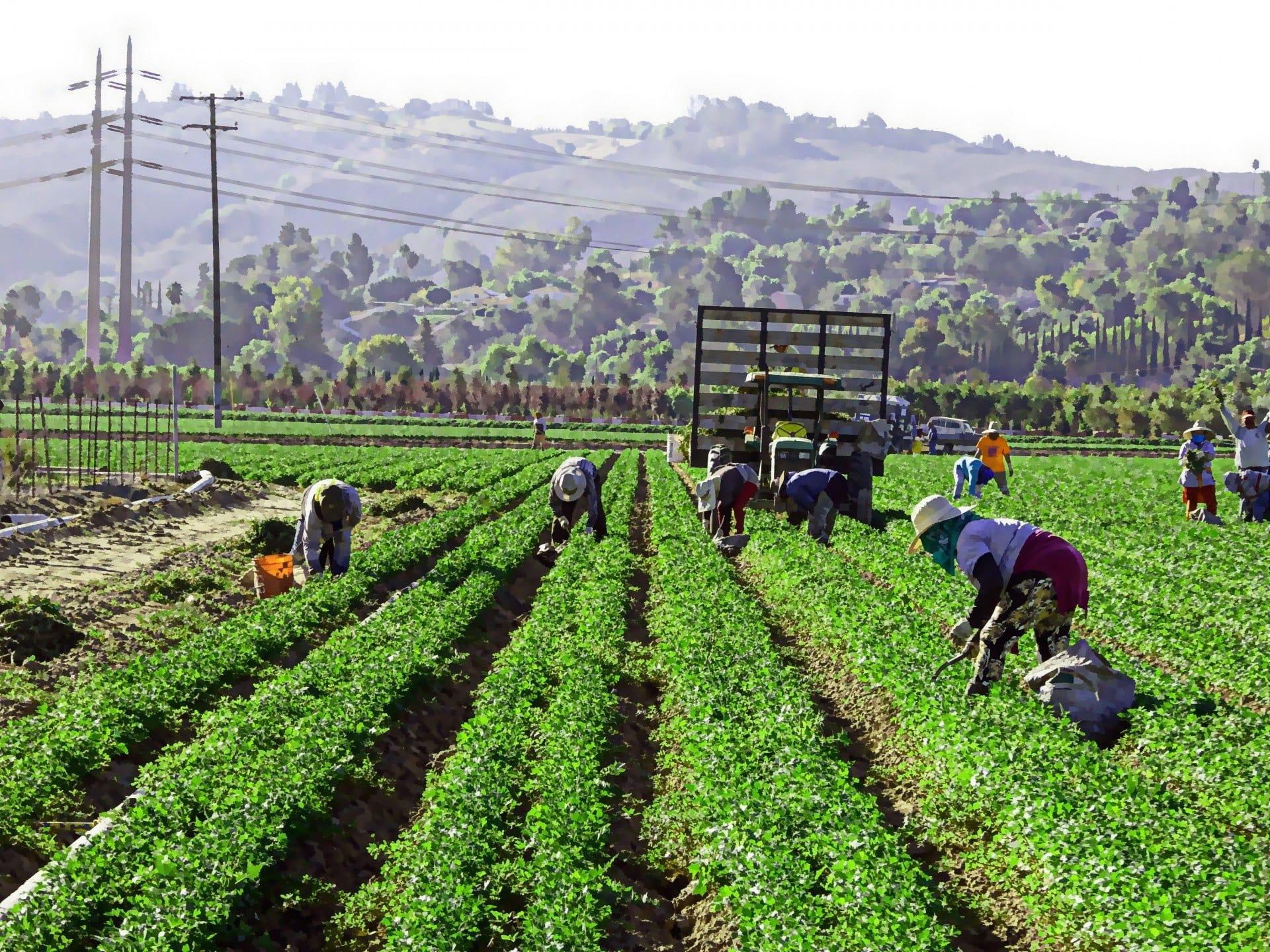Trabajo forzoso y migración laboral en el agro para 2026
