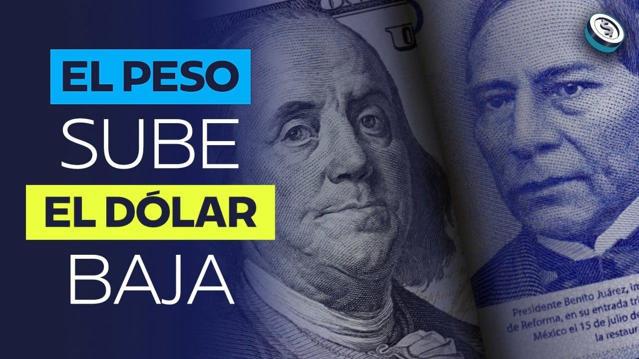 Análisis del peso en 2026