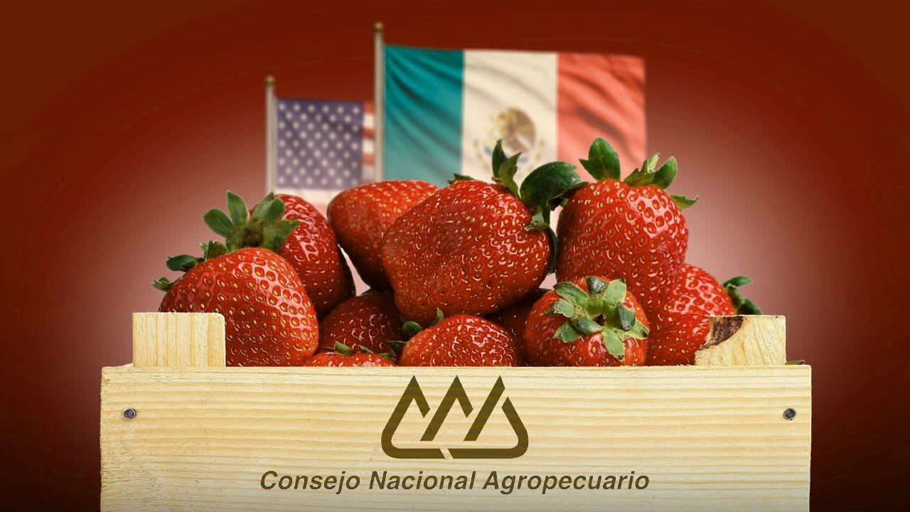 Golpe preliminar a la fresa mexicana por antidumping 2026
