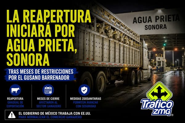 Reanudación de la importación de ganado mexicano en 2026